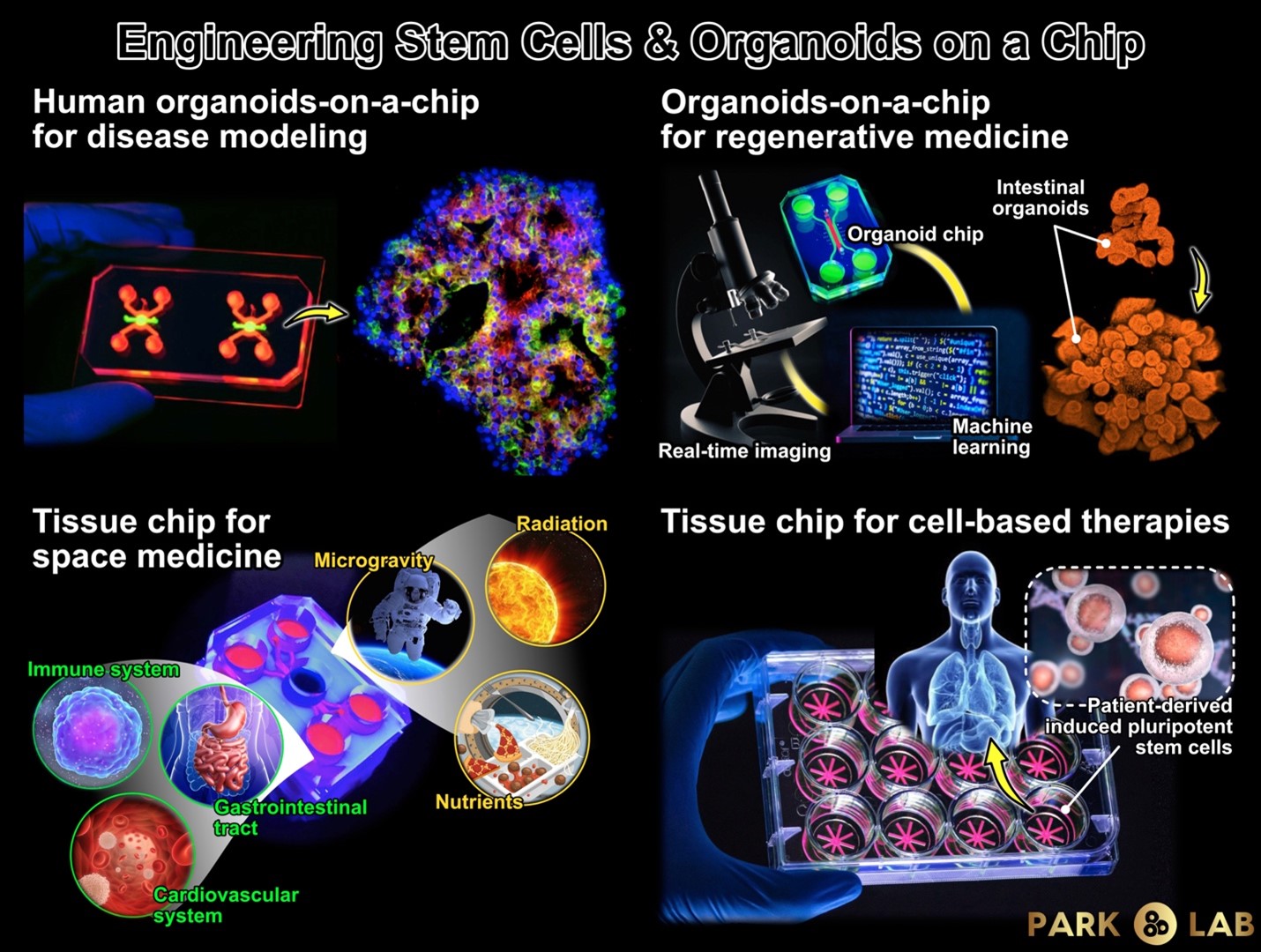 Read more: Park Lab – Estelle Lab
